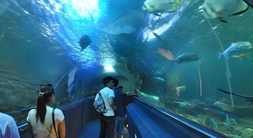 Vinpearl Discovery Rockside Nha Trang Exterior foto